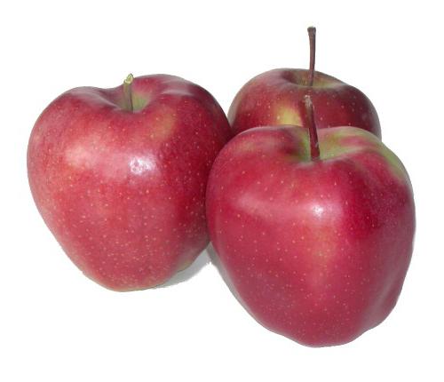 Albero di mele "Ligol": una descrizione della varietà, foto