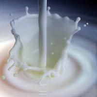 Latte fatto con latte in polvere 