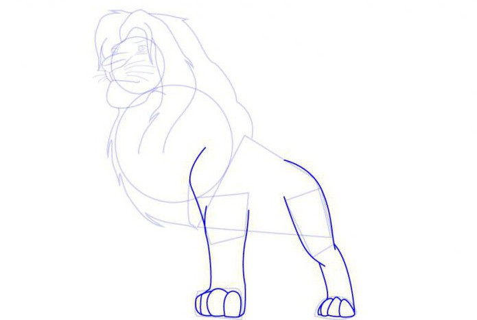 come disegnare un leone dal re leone 