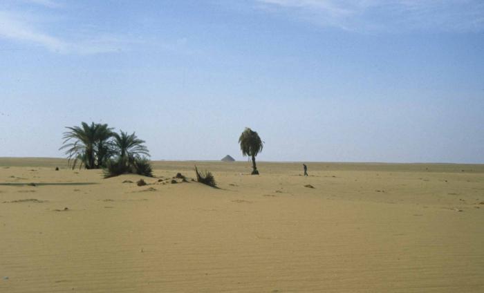 La lunghezza del deserto del Sahara da nord a sud, da sud a nord