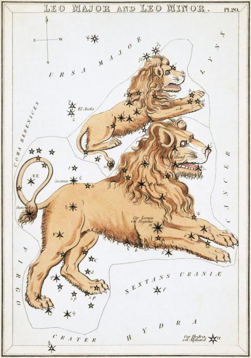 Constellation Lions: posizione e stelle luminose