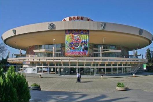 Circus in Sochi: descrizione, recensioni