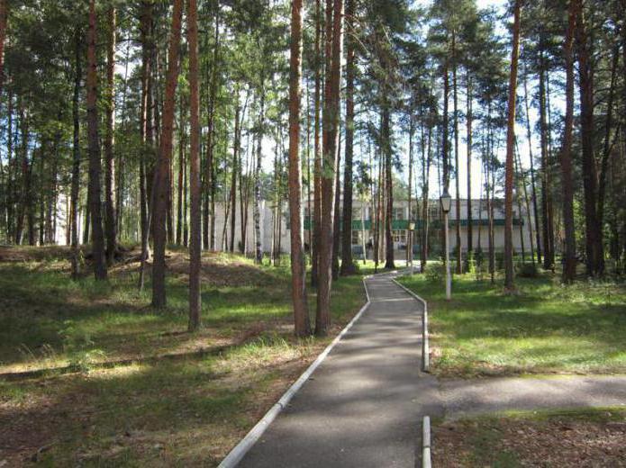 resort benessere foresta russa